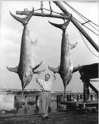 ph8.jpg (43121 bytes)